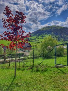 Pohľad z areálu Family Resort Zázrivá do okolitých lesov a prírody